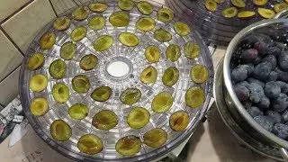 How to Make Dried Plums in a Food Dehydrator - A Quick Tutorial with Easy-to-follow Steps