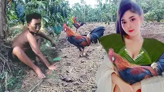 Primitive adventure to survive jungle fowl hunting and burning delicious