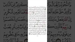 Sheikh Osman Alow Tafseerul Quran.Al-Hajj Ayat 19-37