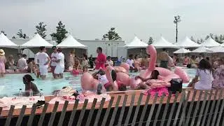 Pinknic - POOL