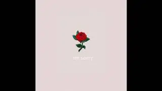Im sorry~curlybamm lyrics