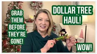 DOLLAR TREE HAUL | Grab Them Before They’re Gone | Some 25 cent Items | WOW | LOVE DT😁 #dollartree
