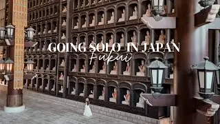 Life in Japan : Exploring FUKUI | Echizen Daibutsu | Japanese Mountains in Winter