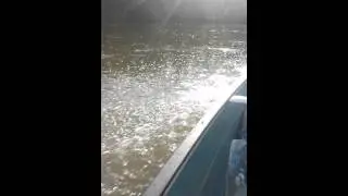 2015 mercury 4hp 4 stroke on scanoe