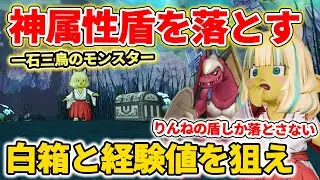 ドラクエ10 白箱でりんねの盾を狙え！りゅう兵士で経験値もごっそり獲得！