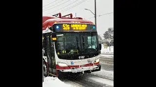 TTC 52G Lawrence West to Martin Grove Bus ride - From Roxaline St to Islington Ave 1/5/2026 #6173