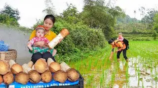 Single Mother Works Hard to Harvest, Grow Crops, Raise Livestock to Earn Money to Raise Children