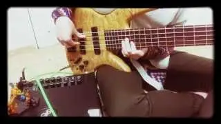 Phil Jones Bass Amp CUB BG-100 Sound