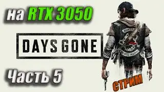 DAYS GONE 💥 Жизнь После Часть 5 💥 RTX 3050 💥 СИНГЛ