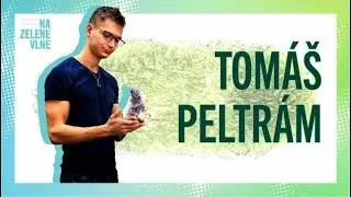 Tom&aacute;&scaron; Peltr&aacute;m - Vltav&iacute;n jako business / Na zelen&eacute; vlně 2024