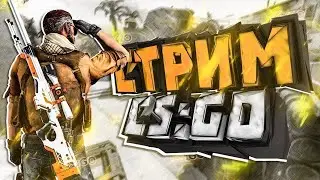 CS 2 | NEPPO GAMING  | 🔴 JONLI EFIR | 50 layk va KONKURS +ww +cs2 #streamer