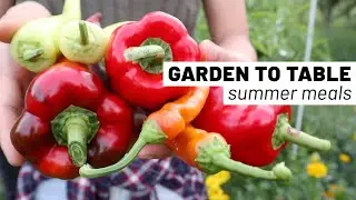 Easy summer meals from the homestead garden // What we eat in a day // healthy & vegetarian