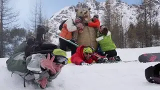 vars 2017
