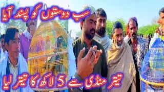 Teetar Mandi Se 5 Lakh Ka Teetar Leeya Sab Doston Ko Passand Aaya | Siyal Aijaz Village Life