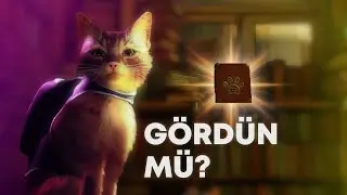 Stray'de G&ouml;zden Ka&ccedil;an Detaylar!