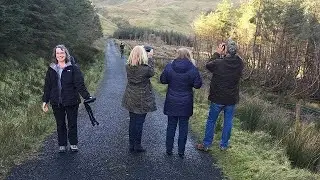 Welcome to Secret Ireland Tours Amazing Vacations