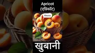 Apricot hindi meaning #shorts