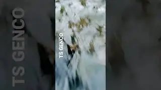location dameracherla   TS GENCO  SMALL river