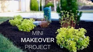 Мини-проект преображения // Garden Answer