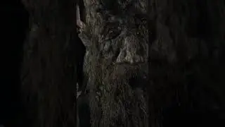 ENTS CONFIRMED for The  Rings of Power! #shorts