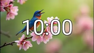 Nature's Melody: 10-Minute Bird Relaxation Timer