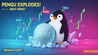🚀 PENGU Coin EXPLODES! 850M Daily Views Lead to HUGE Price Breakout! (Next PEPE?)