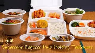 Far East & Geotegrity Sugarcane Bagasse Pulp Molding Biodegradable Disposable Tableware!