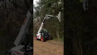 Hydraulic Limb Saw With Adjustable Reach | GreenTec Puma 3303 Tele and LRS 2002