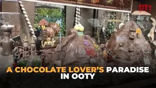 Chocolate lovers gather in Ooty as the annual festival celebrates Nilgiri flavours