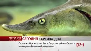SITV.RU СЕГОДНЯ новость дня 04.10.2017г.