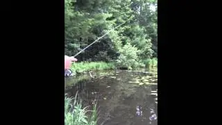 BassTard the allusive bass hole