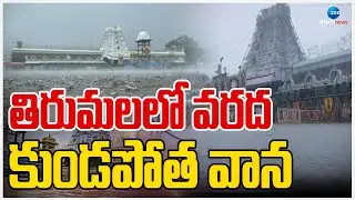 Heavy Rains In Tirumala | Weather Updates | తిరుమలలో వరద కుండపోత వాన | ZEE Telugu News
