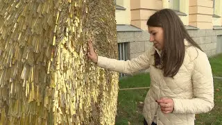 ПИТЕР LIFE. СТУДЕНЧЕСКИЙ ПЕТЕРБУРГ