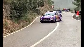 Ford Puma Rally 1 tyre Warm-up
