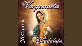 La Guadalupana