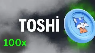 RAISE Your Price Targets on TOSHI CRYPTO!!!