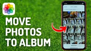 Как переместить фотографии в альбом на iPhone &mdash; полное руководство
