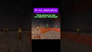 ЗАХОДИ К НАМ И ИГРАЙ! IP: mc.JeleCraft.su #анархиямайнкрафт #анархия #вреки #fyp #реки #майнкрафт