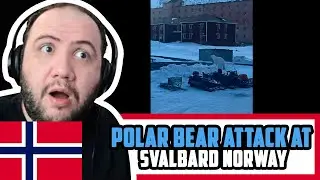 🇳🇴 Polar bear attack at Svalbard Norway | TEACHER PAUL REACTS NORGE