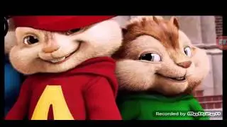 Apored photoshop chipmunk freak style