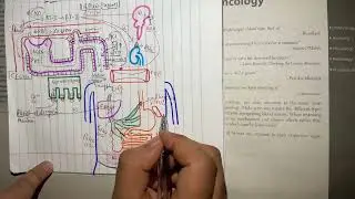 POLYCYSTIC KIDNEY DISEASE 4 (ARPKD) | RENAL SYSTEM | Urdu/Hindi