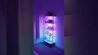 how i decorated this shelf