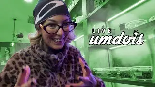 Trocando ideia sobre a MAC#NHA de BARCELONA! Live umdois