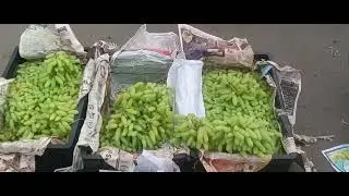 Parimpora sgr fruit mandi Shop no 156B all fruit available 🍉🍐🍅🍏🍓🍑