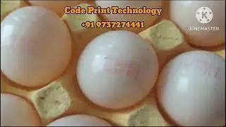 Egg Printing, Egg Date Coding
