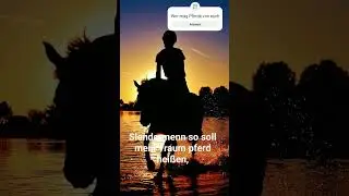 #slendermenn #pferde #freunde