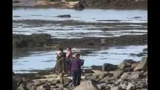 Iceland group tour