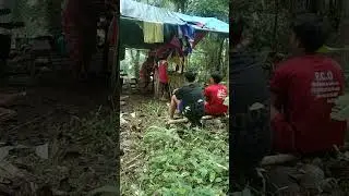 actual vedeo ng paggagamot ng mga babaylan.