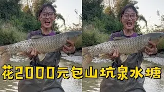 小姨子花2000元包下山坑泉水塘，塘主说没20斤的鱼不要钱？