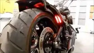 Gator Customs Gator Glass Harley Rocker